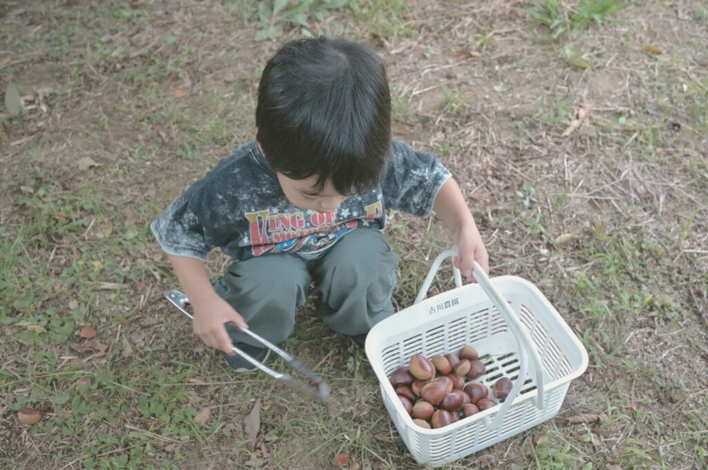 栗拾い、BBQへ