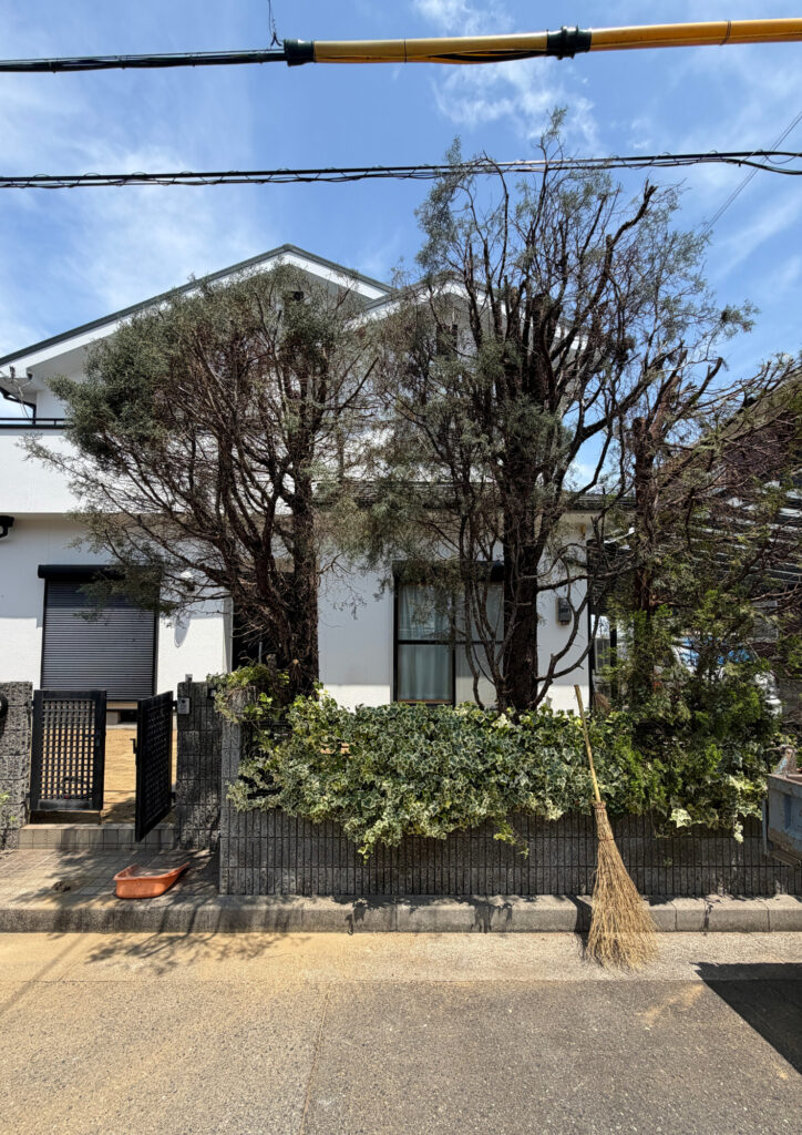 明石市　伸びた植栽を撤去しました！
